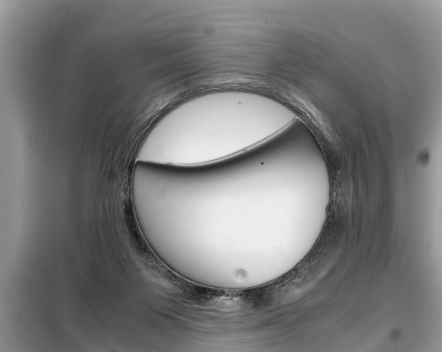 X0000099290119200805020742