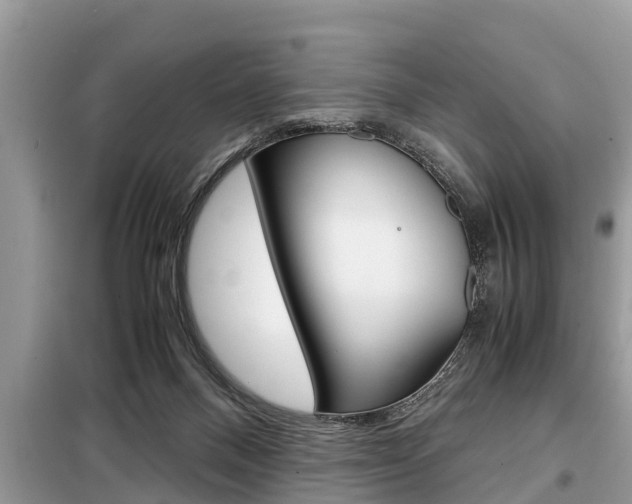 X0000099290120200805020742