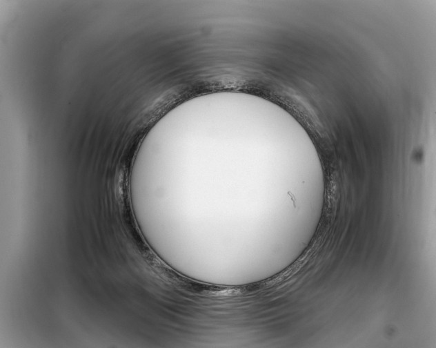 X0000099290122200805020742
