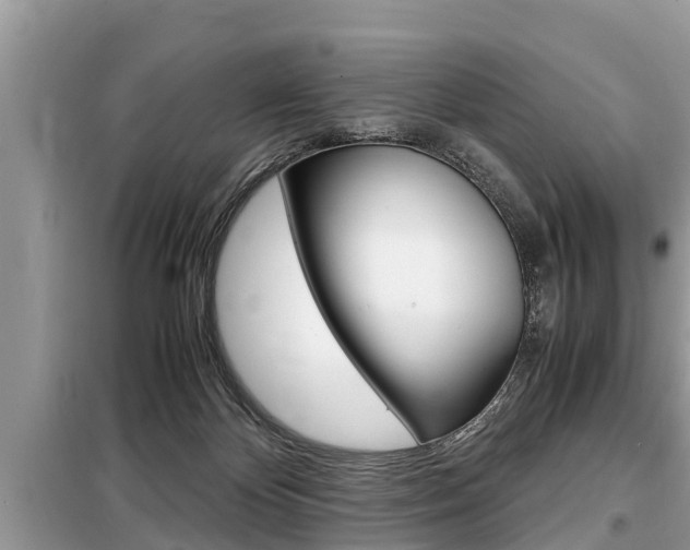 X0000099290124200805020742