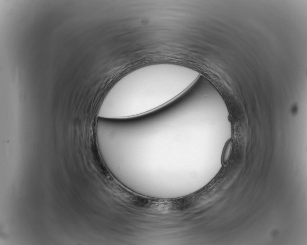 X0000099290127200805020742
