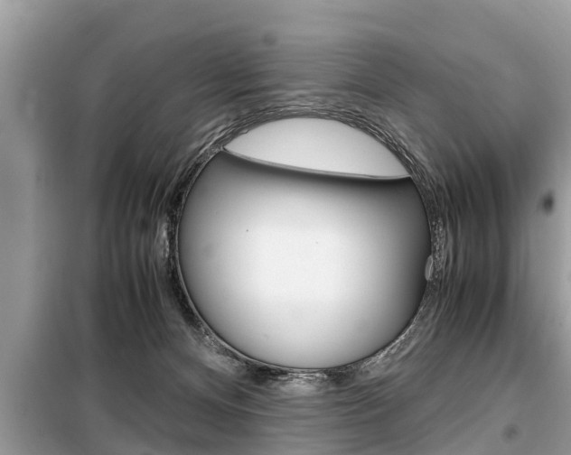 X0000099290128200805020742