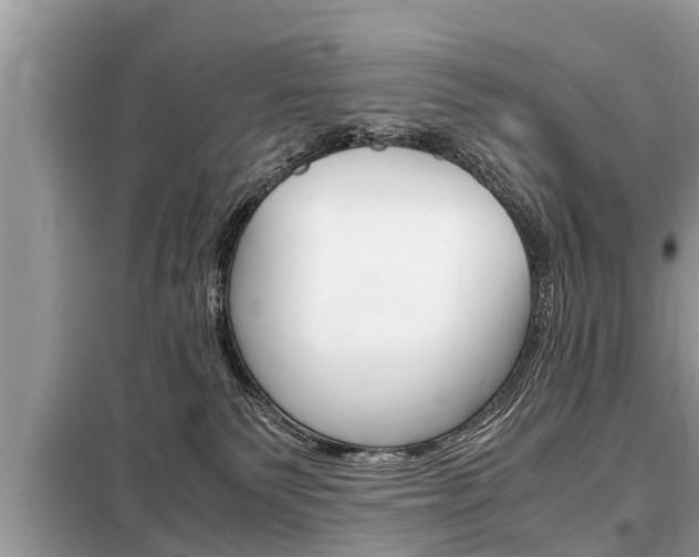 X0000099290135200805020742