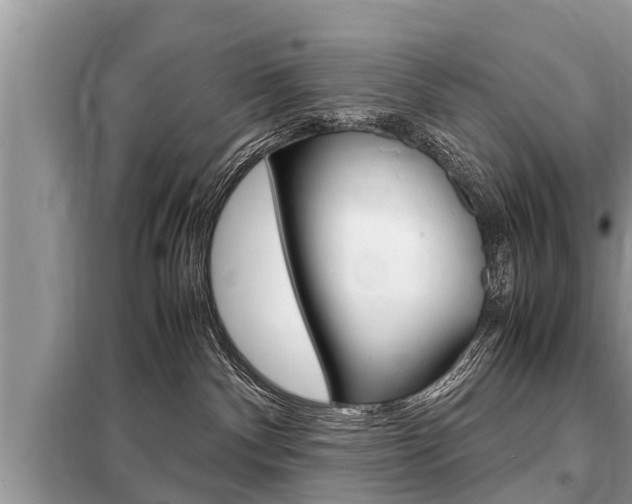 X0000099290140200805020742