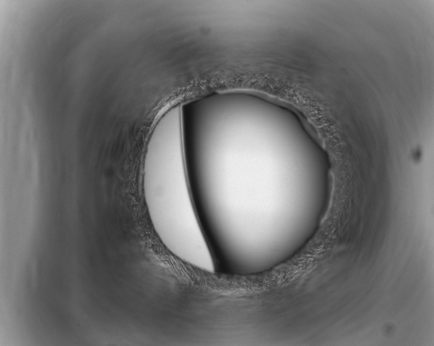 X0000099290144200805020742