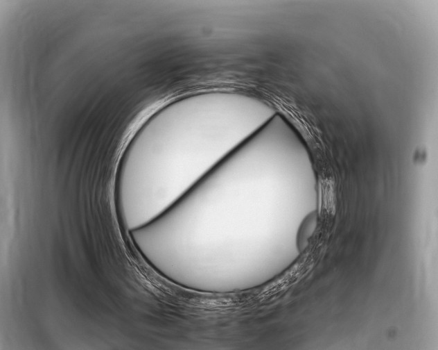 X0000099290147200805020741