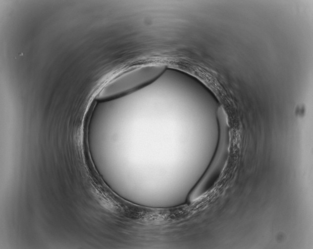 X0000099290148200805020741