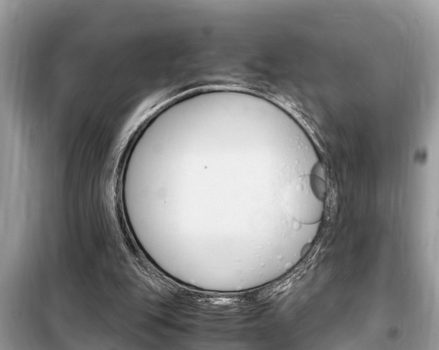 X0000099290151200805020741