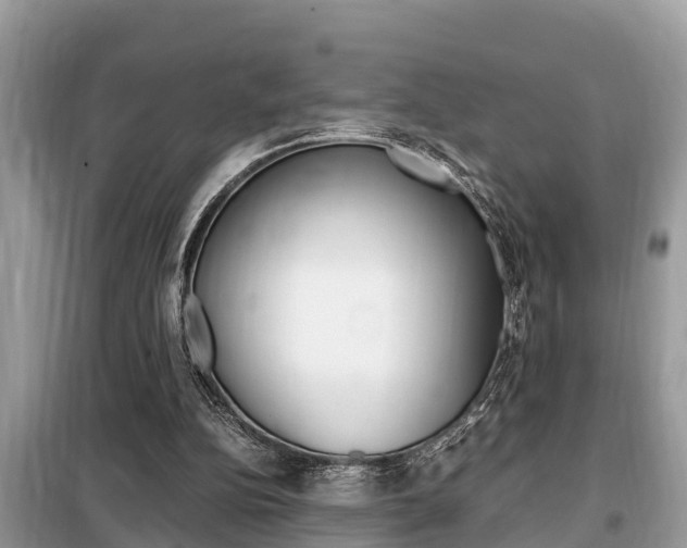 X0000099290152200805020741