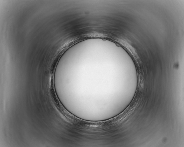 X0000099290157200805020741