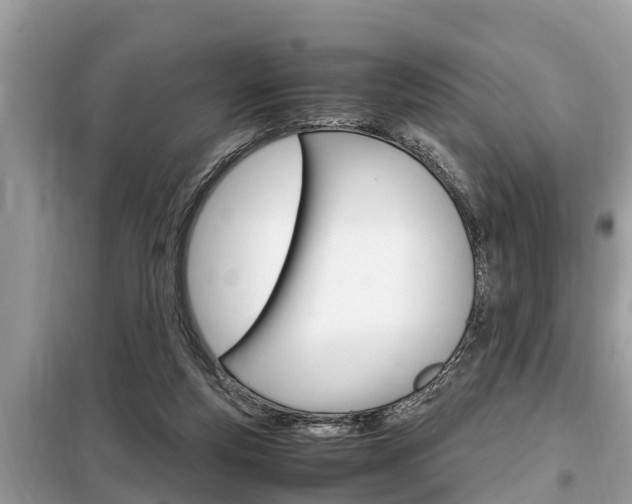 X0000099290163200805020741