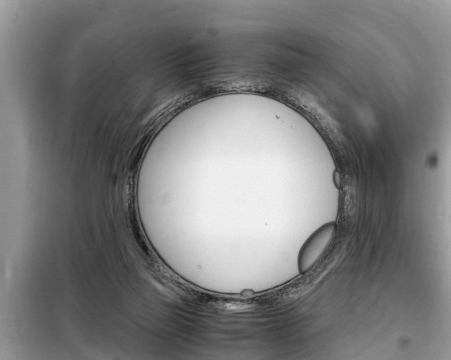 X0000099290165200805020741