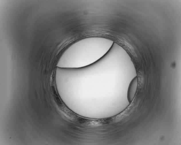 X0000099290166200805020741