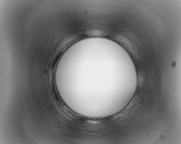 X0000099290167200805020741