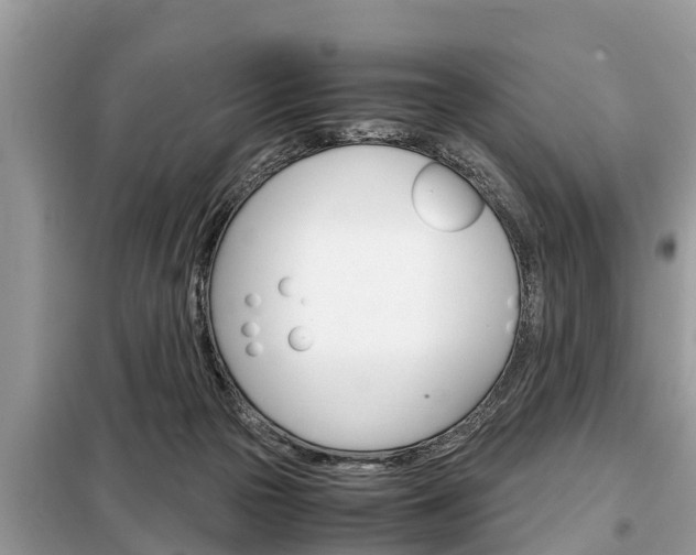 X0000099290169200805020741