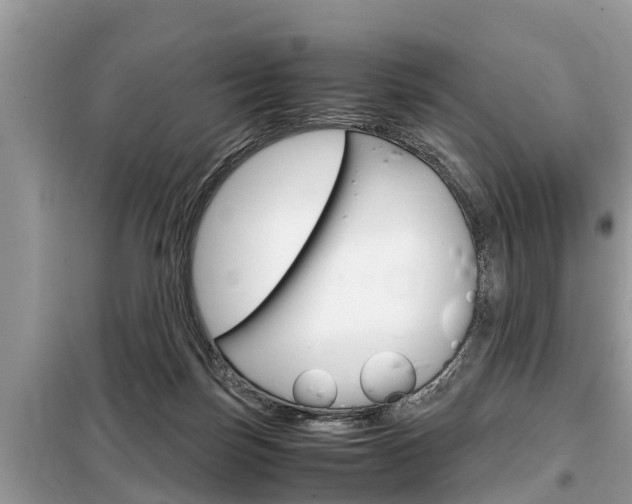 X0000099290171200805020741