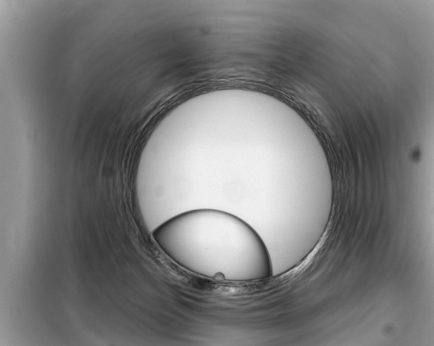 X0000099290174200805020741