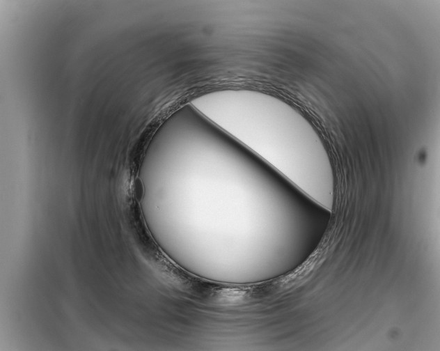 X0000099290176200805020741