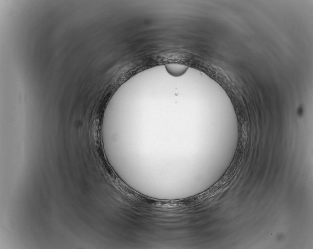 X0000099290181200805020742