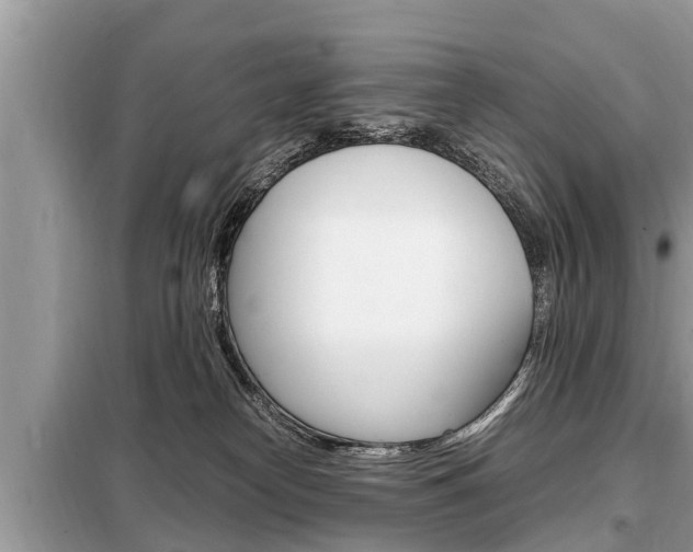 X0000099290182200805020742