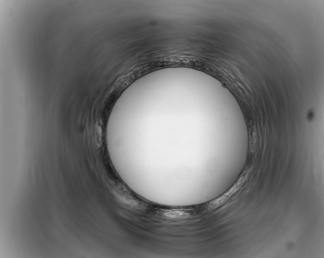 X0000099290183200805020742