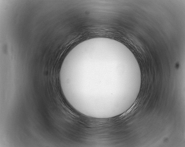 X0000099290184200805020742