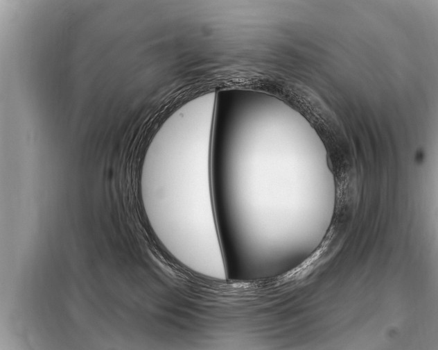 X0000099290186200805020742