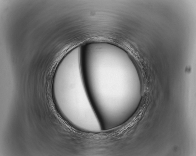X0000099290193200805020741