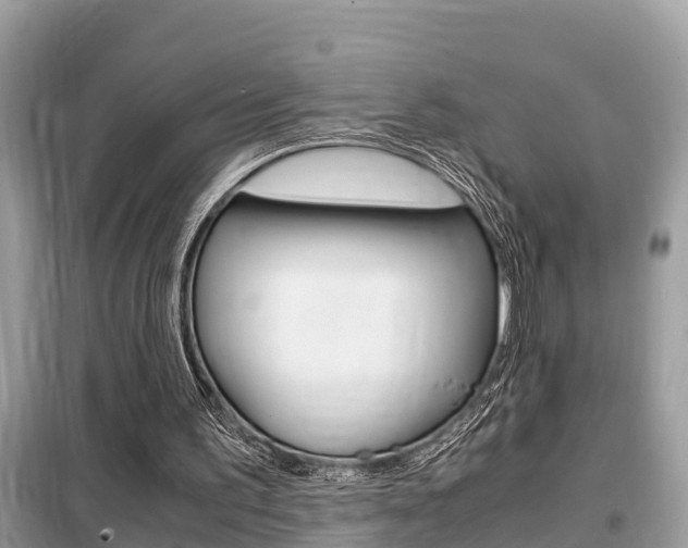 X0000099290195200805020741