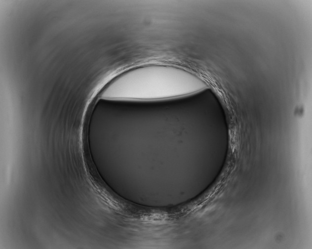 X0000099290196200805020741