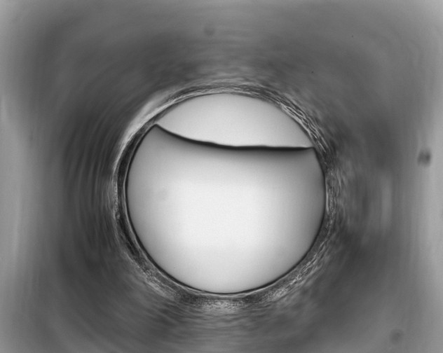 X0000099290198200805020741