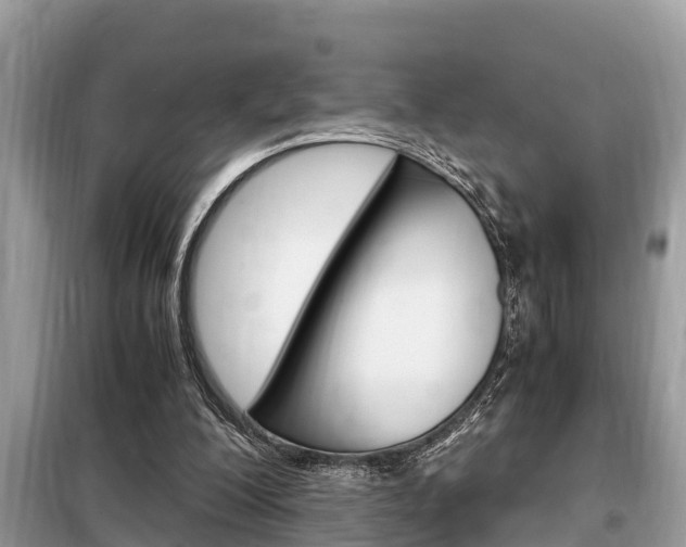 X0000099290200200805020741