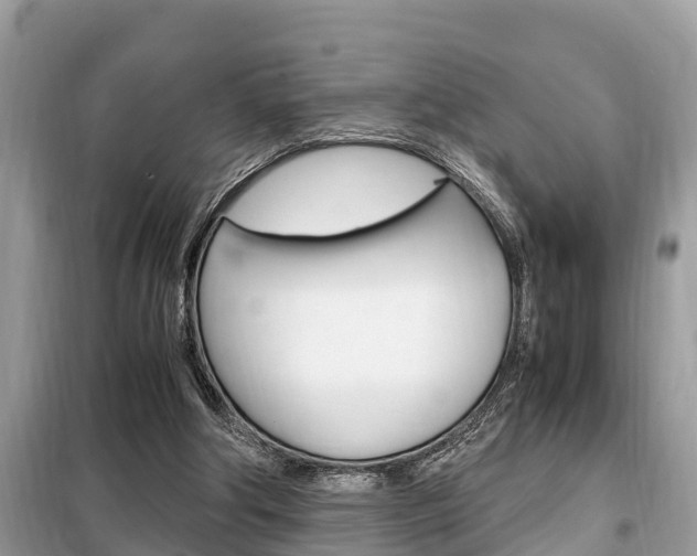 X0000099290202200805020741