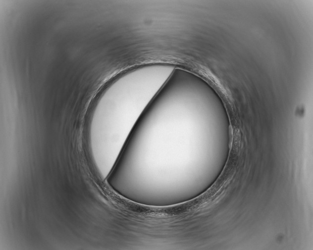 X0000099290203200805020741
