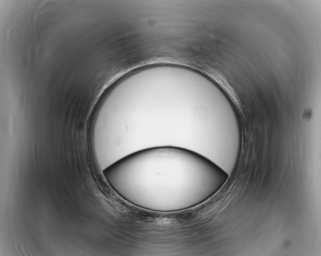 X0000099290204200805020741