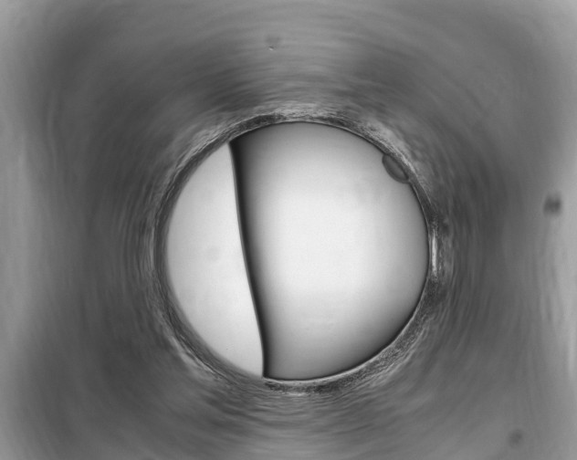 X0000099290205200805020741