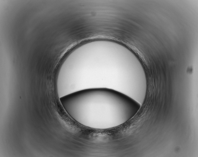 X0000099290208200805020741