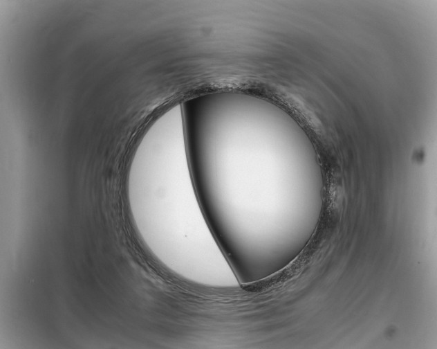 X0000099290211200805020741