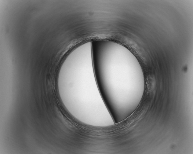 X0000099290212200805020741