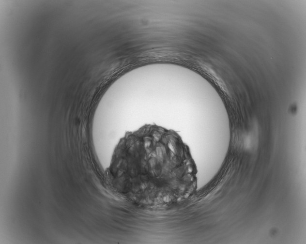 X0000099290213200805020741