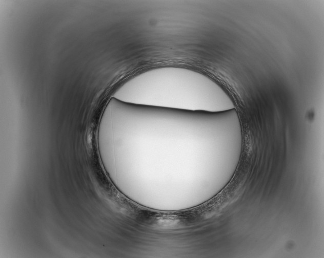 X0000099290214200805020741
