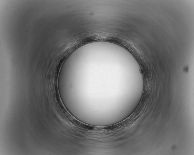 X0000099290215200805020741