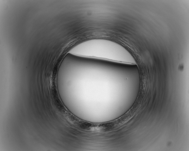 X0000099290216200805020741