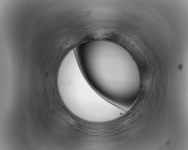 X0000099290219200805020740