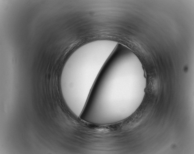 X0000099290220200805020740