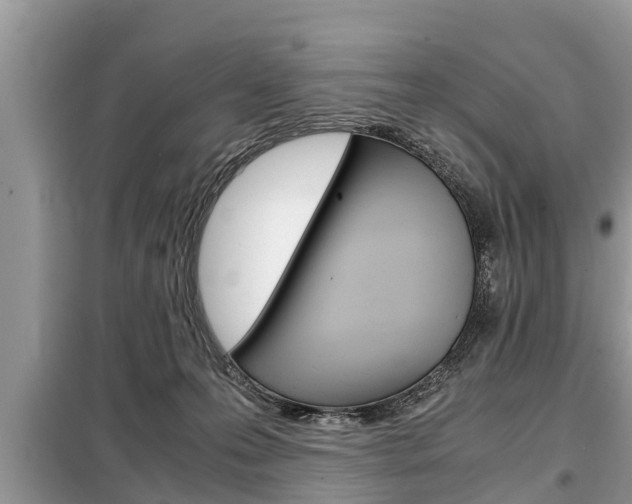 X0000099290223200805020740