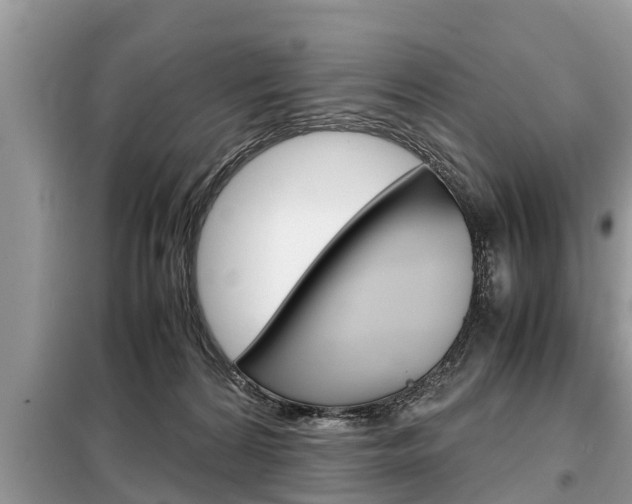 X0000099290224200805020740