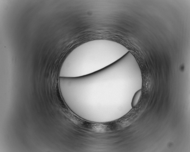 X0000099290226200805020740