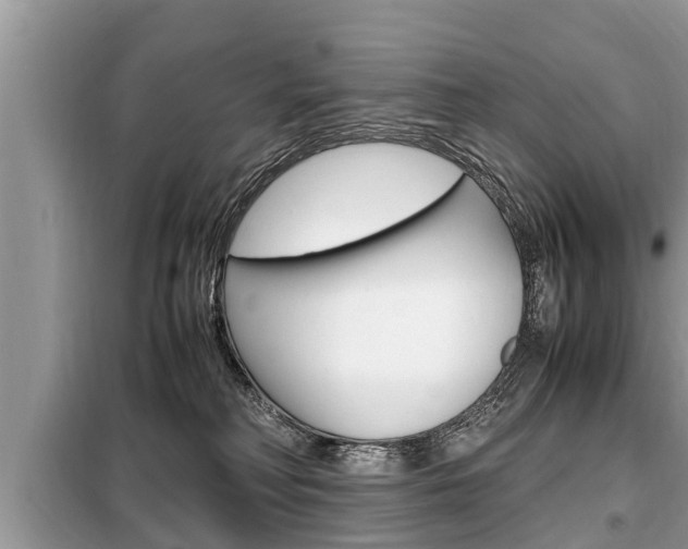 X0000099290230200805020740