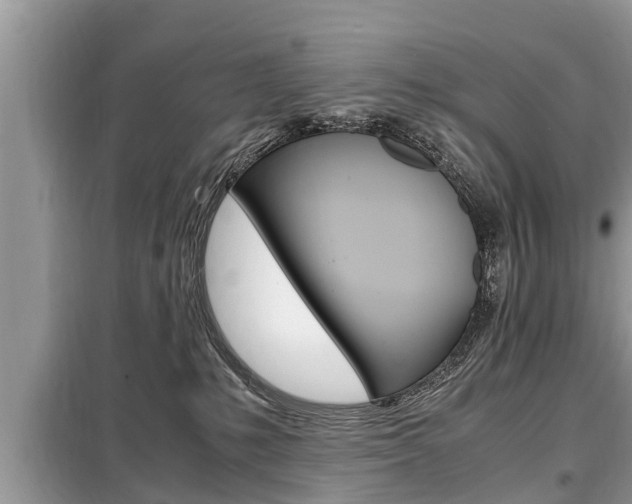 X0000099290231200805020740